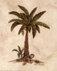 Monkey-and-Palm-II-Print-C10086320.jpeg