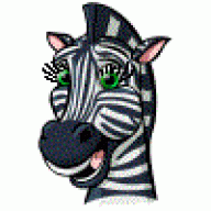 čedina_zebra