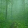 Green Mist