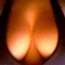 1923882725411e612101c82.gif