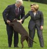 clintons-next-intern.jpg