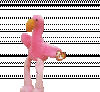 dancing_bird.gif