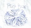 pizza sa pet pica.jpg