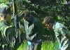 srebrenica_video.jpg