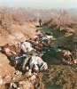 011799ap-kosovo-massacre_1.jpg