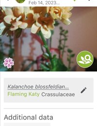 Screenshot_20230220_121425.jpg