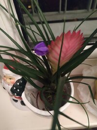 IMG_20220131_190222.jpg