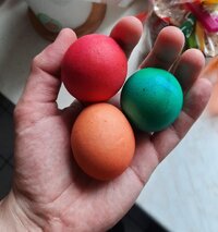 20230415_161630.jpg