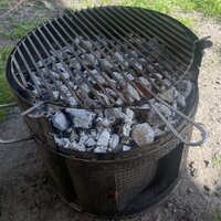 IMG_7389.jpeg