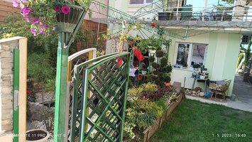 IMG_20230501_164022.jpg