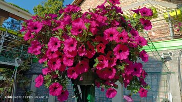 IMG_20230505_173230.jpg