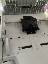 IMG_9519.jpeg