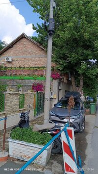 IMG_20230531_152438.jpg