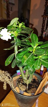 IMG_20230601_230735.jpg
