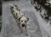 DSC00066.jpg