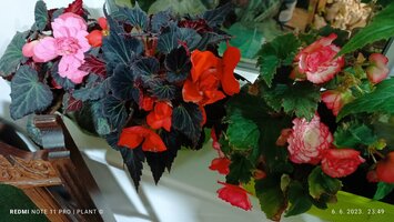 IMG_20230606_234936.jpg