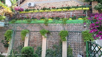 IMG_20230613_110814.jpg