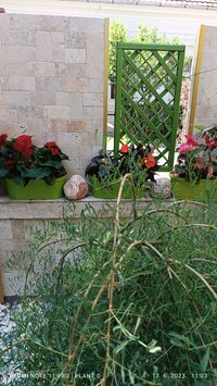 IMG_20230613_110345.jpg