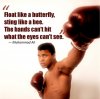 Muhammad-Ali-Float-like-a-butterfly-sting-like-a-bee.-The-hands-cant-hit-what-the-eyes-cant-see..jpg