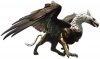 Gryphon-mythical-creatures-28582685-940-561.jpg