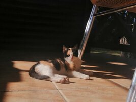 IMG_20221101_130127.jpg