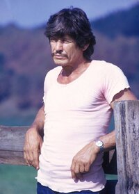 Charles-Bronson-1973.jpg