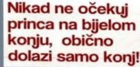saljive-mudre-misli-1-660x330-310x165 (1).jpg