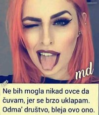 FB_IMG_16786633953230236.jpg