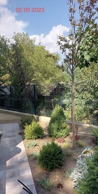 IMG_5904.jpeg