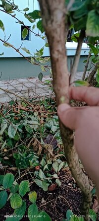 IMG_20231104_162126.jpg