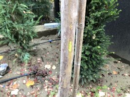 IMG_8259.jpeg