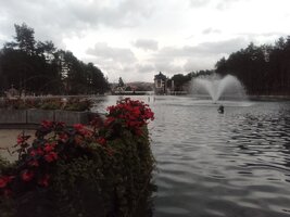 IMG_20231108_121727_121940.jpg