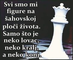316309491_3243518732644396_4833538843761798254_n.jpg