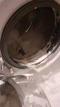 IMG-20231206-WA0025.jpeg