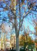 DSC_002033.jpg
