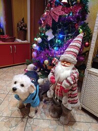 viber_slika_2023-12-31_18-01-33-394.jpg