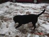 DSC01254.jpg