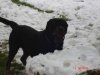 DSC01256.jpg