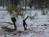 DSC01257.jpg
