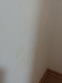 20240205_201710.jpg