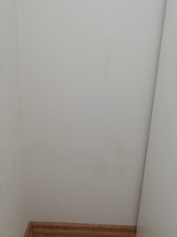 20240205_201646.jpg