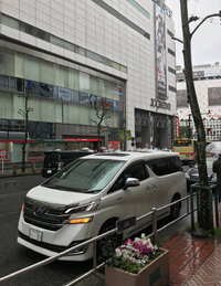 IMG_6936.jpeg