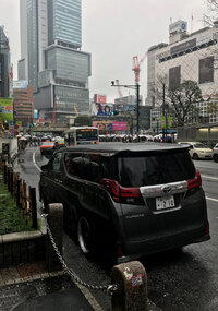 IMG_6934.jpeg