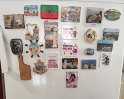 IMG_20240221_110029.jpg