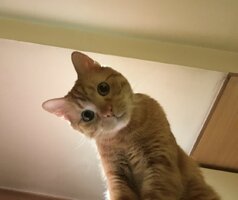 IMG_4389.jpeg