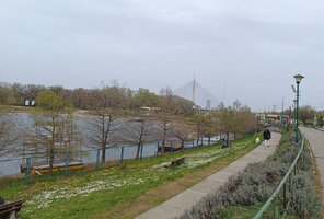 IMG_20240327_134628.jpg