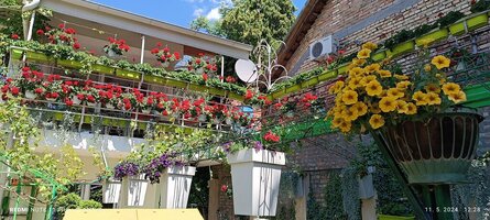 IMG_20240511_122818.jpg