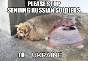 1715527161372.png