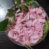 IMG_20240419_174333.jpg