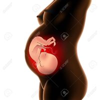 30928857-pregnant-woman-with-fetus-in-womb.jpg